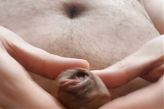 Fat Belly with a Fat Cock Blows a Fat Load In Your Face POV